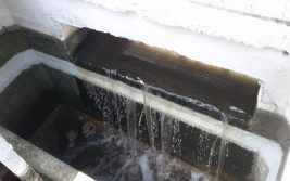 WhatsApp Image 2019-03-07 at 3.25.00 PM