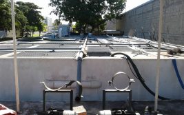 WhatsApp Image 2019-03-07 at 3.31.39 PM (4)