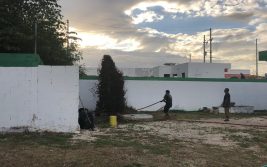 WhatsApp Image 2019-03-07 at 3.38.48 PM