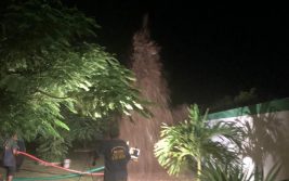 WhatsApp Image 2019-03-07 at 3.38.49 PM