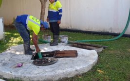 Imagen de WhatsApp 2023-03-28 a las 13.27.53