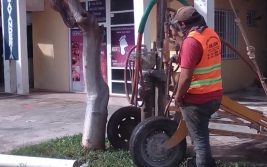 Imagen de WhatsApp 2023-03-29 a las 14.22.19