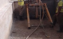 Imagen de WhatsApp 2023-03-29 a las 14.22.40